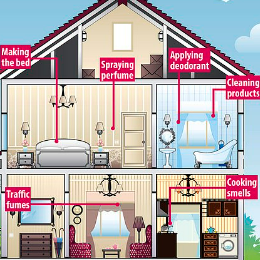 How do I get rid of PM 2.5 at home?