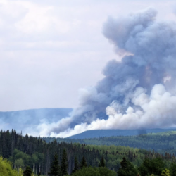 Wildfires produce harmful carbon monoxide (CO)